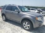 2009 Ford Escape Limited