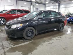 Salvage cars for sale from Copart Ham Lake, MN: 2009 Toyota Corolla Base