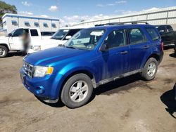 Salvage cars for sale at Anthony, TX auction: 2011 Ford Escape XLS