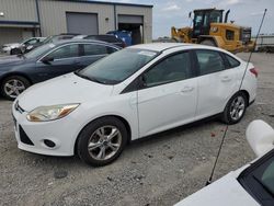 Ford salvage cars for sale: 2014 Ford Focus SE