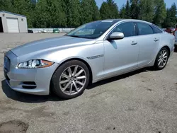 Jaguar salvage cars for sale: 2013 Jaguar XJ