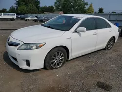 2010 Toyota Camry Hybrid en venta en Finksburg, MD