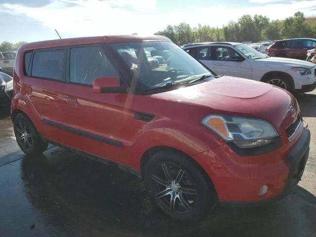 2010 KIA Soul +