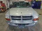 1999 Dodge Dakota