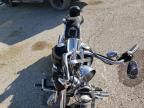 2009 Harley-Davidson Fxstc