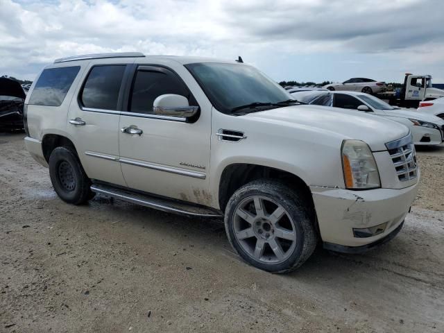 2010 Cadillac Escalade