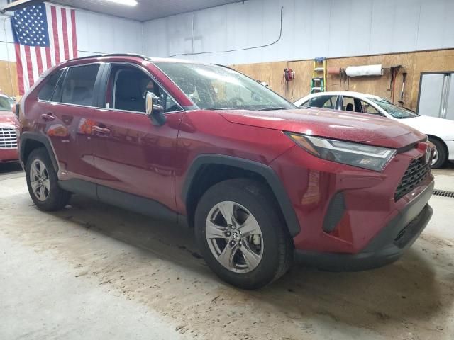 2024 Toyota Rav4 XLE