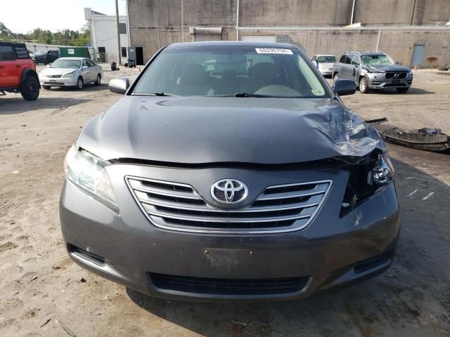 2009 Toyota Camry Hybrid