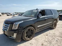 Salvage cars for sale at Houston, TX auction: 2016 Cadillac Escalade Platinum