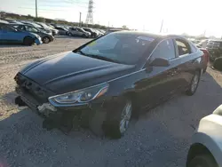 Salvage cars for sale at Tucson, AZ auction: 2018 Hyundai Sonata SE