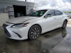 2020 Lexus ES 350