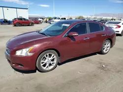 Nissan salvage cars for sale: 2013 Nissan Maxima S