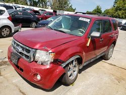 Salvage cars for sale at Sikeston, MO auction: 2010 Ford Escape XLT