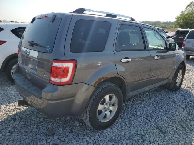 2010 Ford Escape Limited