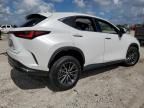 2024 Lexus NX 250 Premium