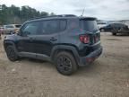 2017 Jeep Renegade Trailhawk