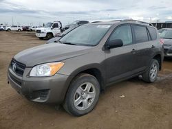 Salvage cars for sale at Brighton, CO auction: 2010 Toyota Rav4