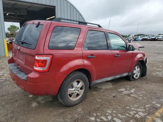 2010 Ford Escape XLT