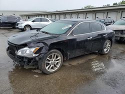 Nissan salvage cars for sale: 2014 Nissan Maxima S