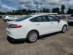 2014 Ford Fusion S Hybrid