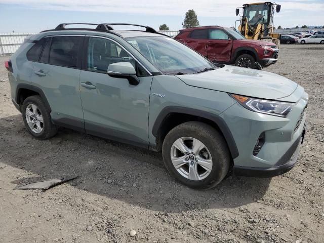 2019 Toyota Rav4 XLE