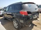 2009 Hyundai Santa FE SE