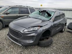 Salvage cars for sale at Reno, NV auction: 2022 Ford Escape SE