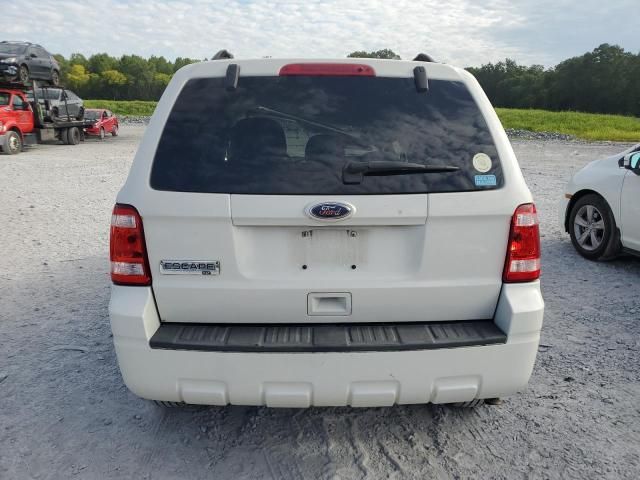 2010 Ford Escape XLT