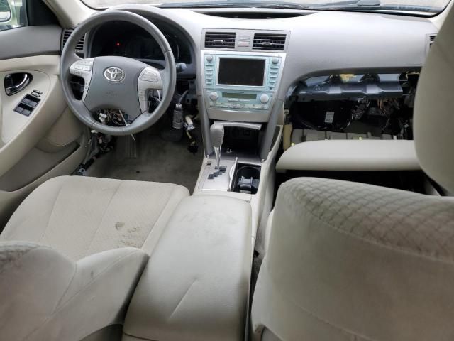 2009 Toyota Camry Hybrid