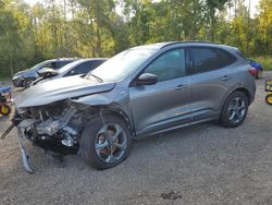 Ford Escape st salvage cars for sale: 2024 Ford Escape ST Line