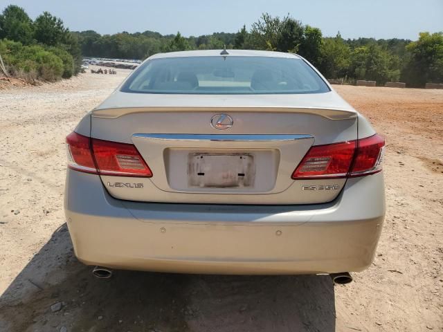 2010 Lexus ES 350