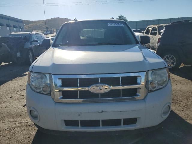 2009 Ford Escape XLT