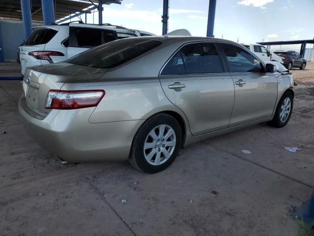 2009 Toyota Camry Hybrid