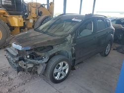 Salvage cars for sale at Phoenix, AZ auction: 2014 Ford Escape SE