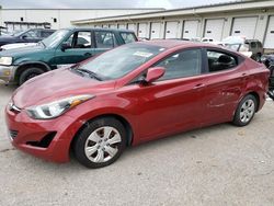 Salvage cars for sale at Louisville, KY auction: 2016 Hyundai Elantra SE