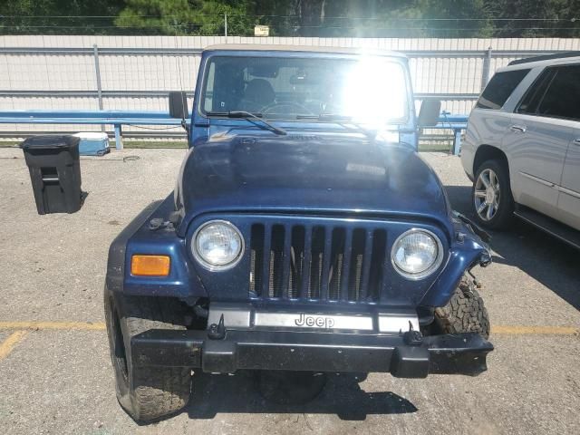 2002 Jeep Wrangler / TJ X