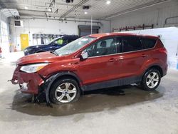 Salvage cars for sale at Candia, NH auction: 2016 Ford Escape SE