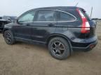 2007 Honda CR-V LX