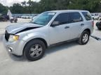 2011 Ford Escape XLS