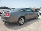 2010 Ford Mustang