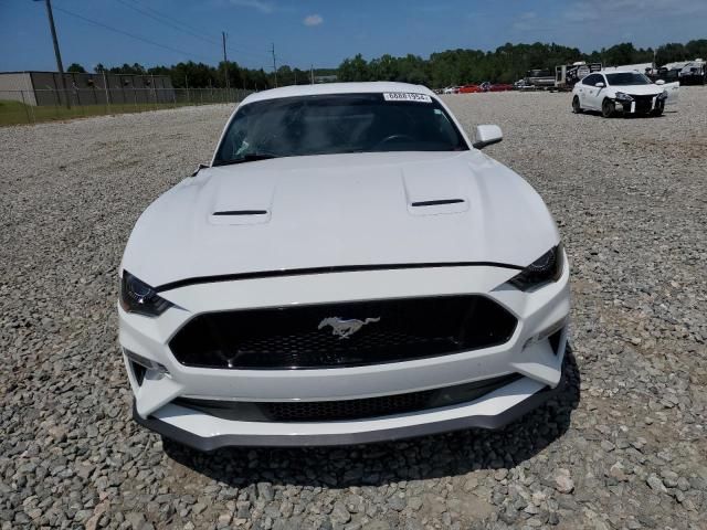 2019 Ford Mustang GT