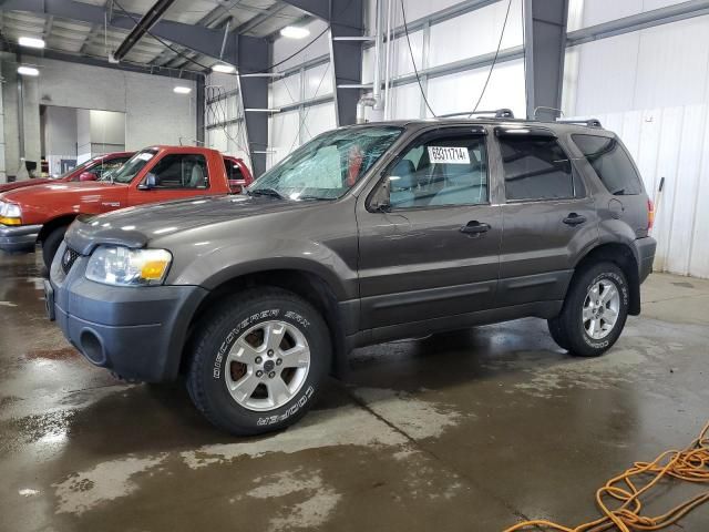 2005 Ford Escape XLT