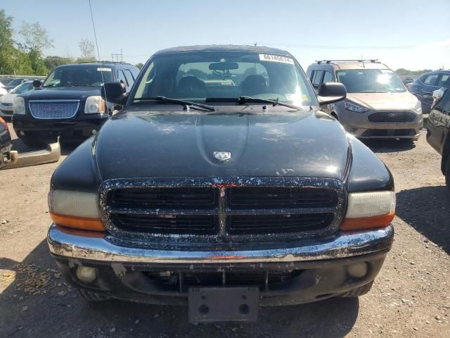 2004 Dodge Dakota Quad SLT