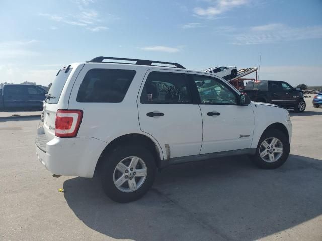 2009 Ford Escape Hybrid