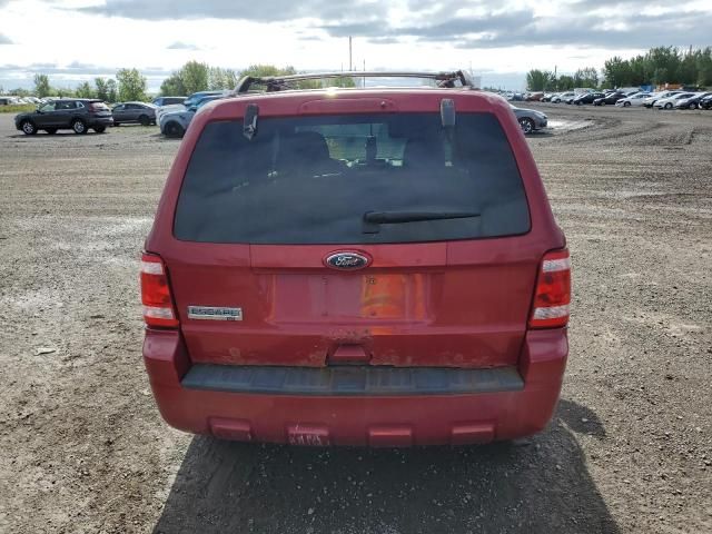 2011 Ford Escape XLT