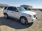 2009 Ford Escape XLS