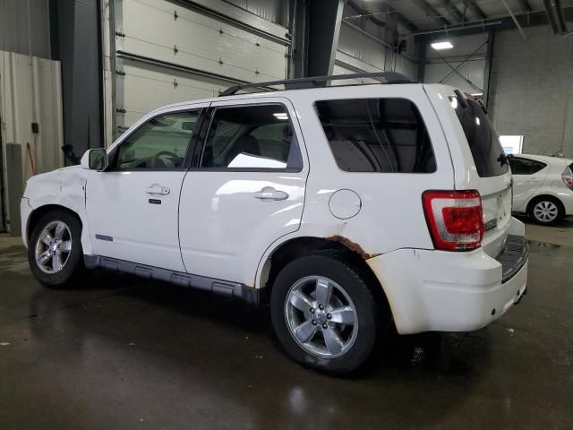 2008 Ford Escape Limited