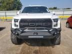 2019 Ford F150 Raptor