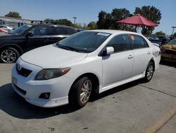 Salvage cars for sale from Copart Sacramento, CA: 2010 Toyota Corolla Base