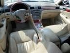 2004 Lexus ES 330